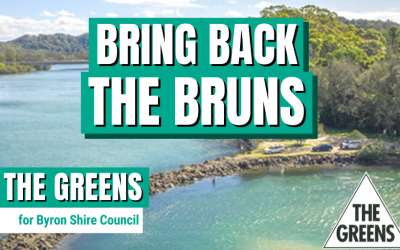 Bring Back the Bruns